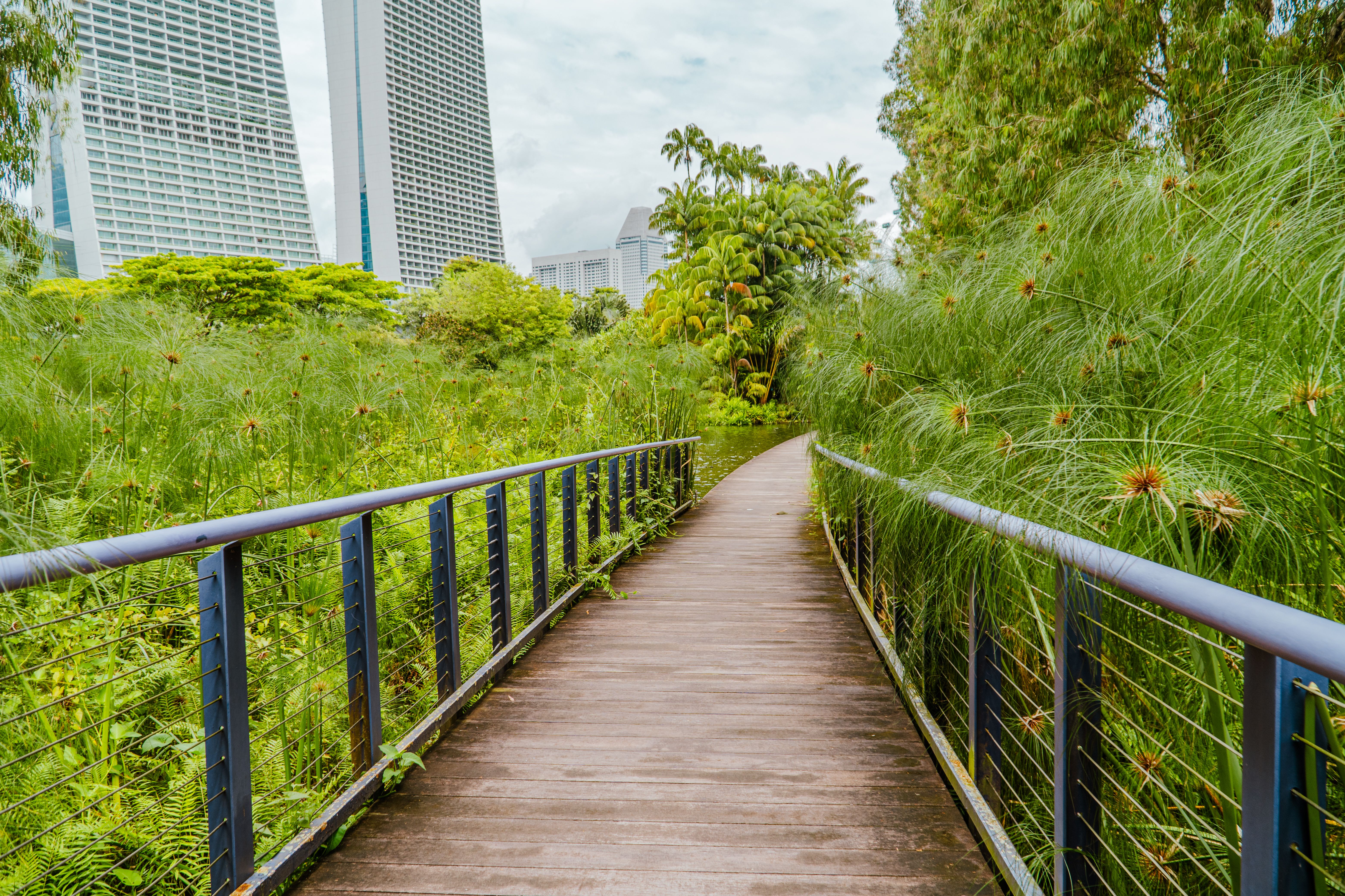 naturopaths singapore