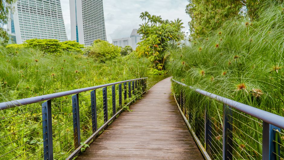 naturopaths singapore