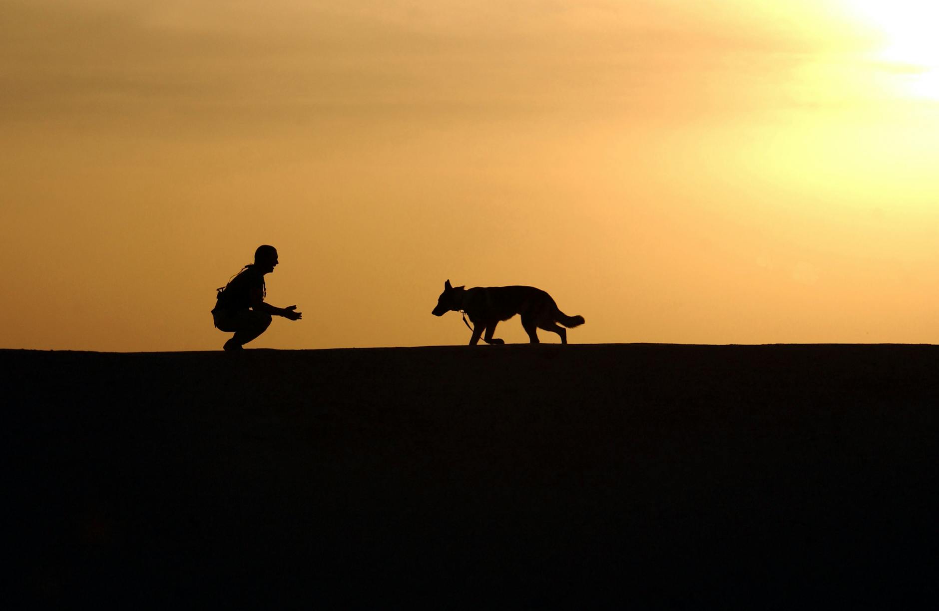 silhouette of a man calling his guard dog
