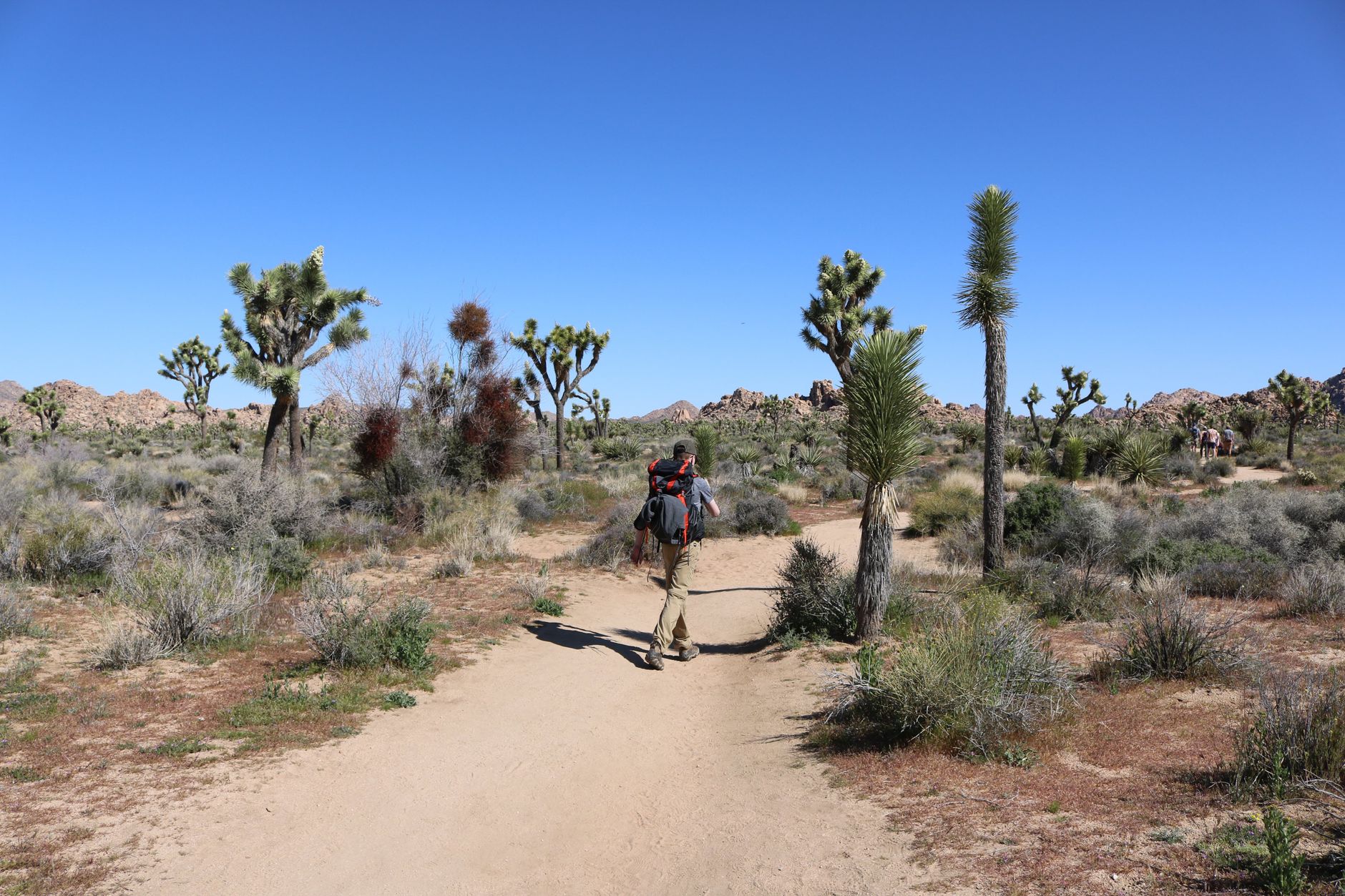 hiker resting shade desert trail