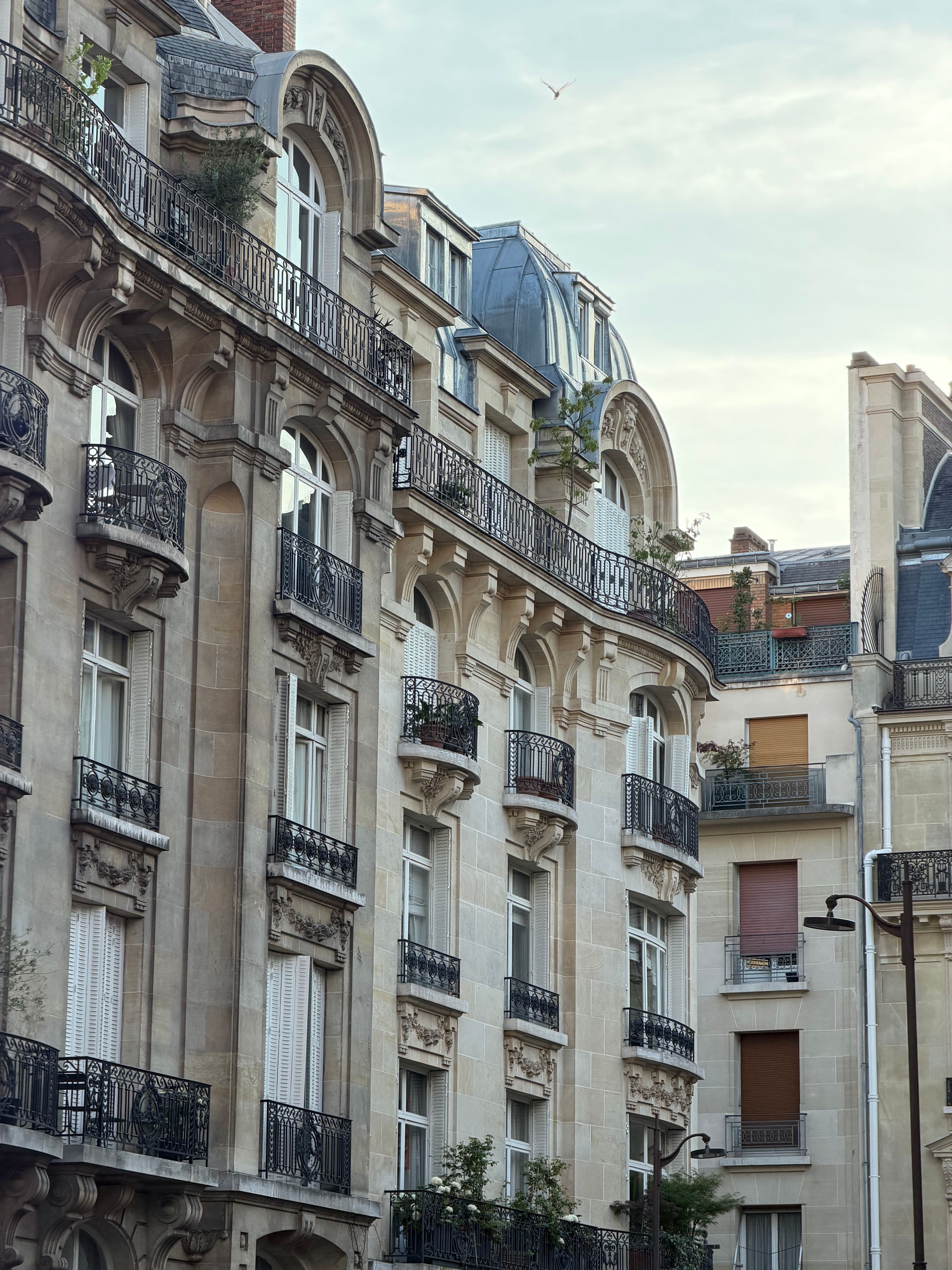 Façades haussmanniennes photographiées en fin de journée, lumière chaude et rasante.
