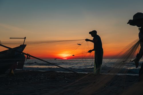 Free Silhouetted fishermen casting nets on a beach at sunset in Quảng Trị, Vietnam. Stock Photo