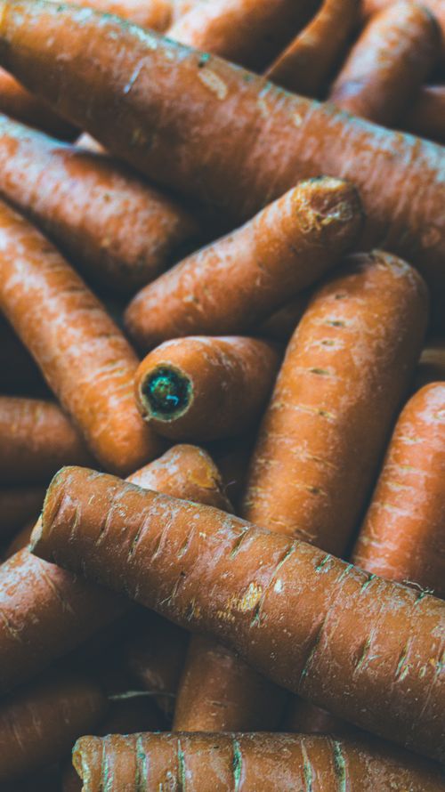 Free A vibrant display of fresh organic carrots, ideal for healthy recipes and kitchen inspiration. Stock Photo