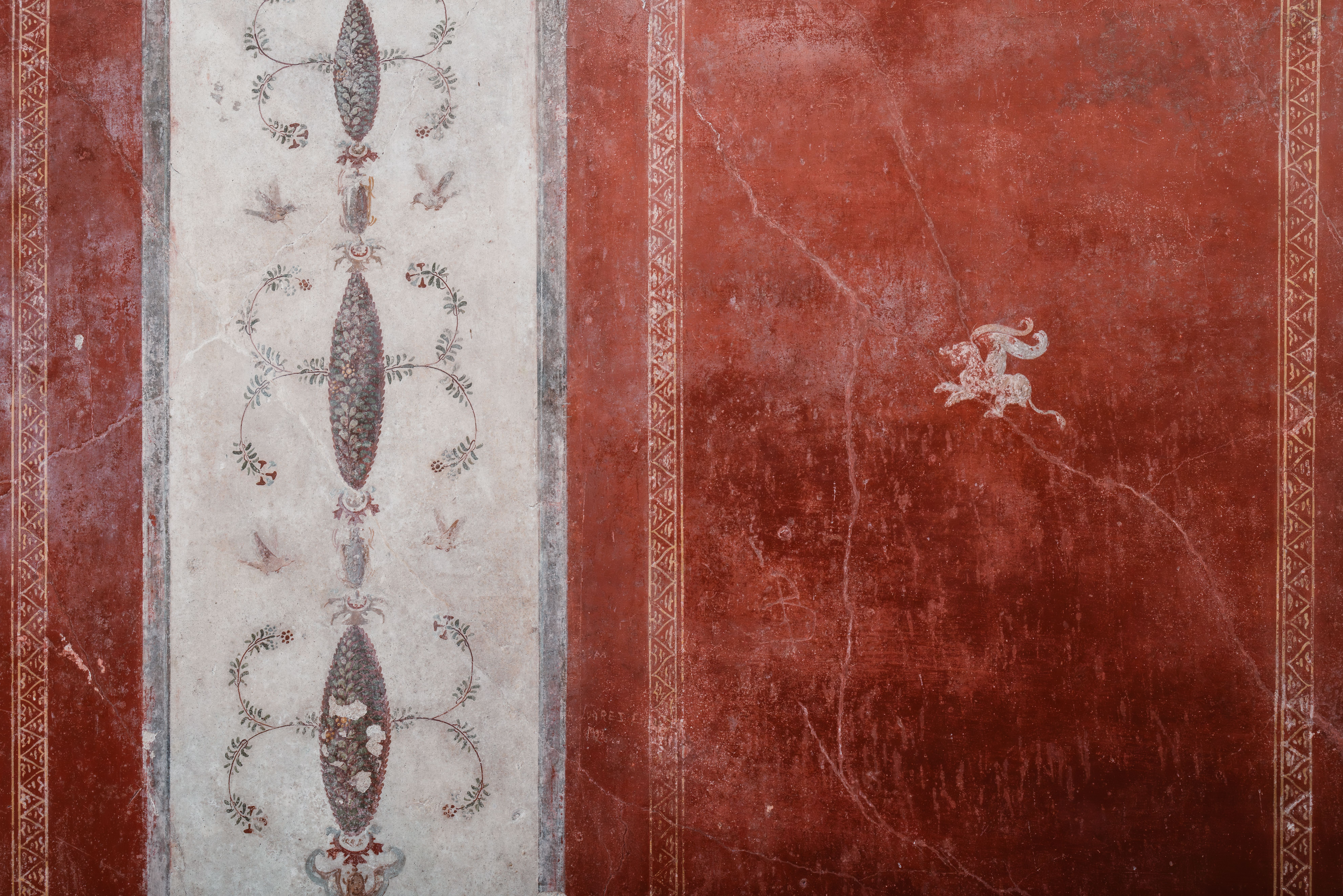 Wallpapering in West Kensington — a freshly painted, spotless finish