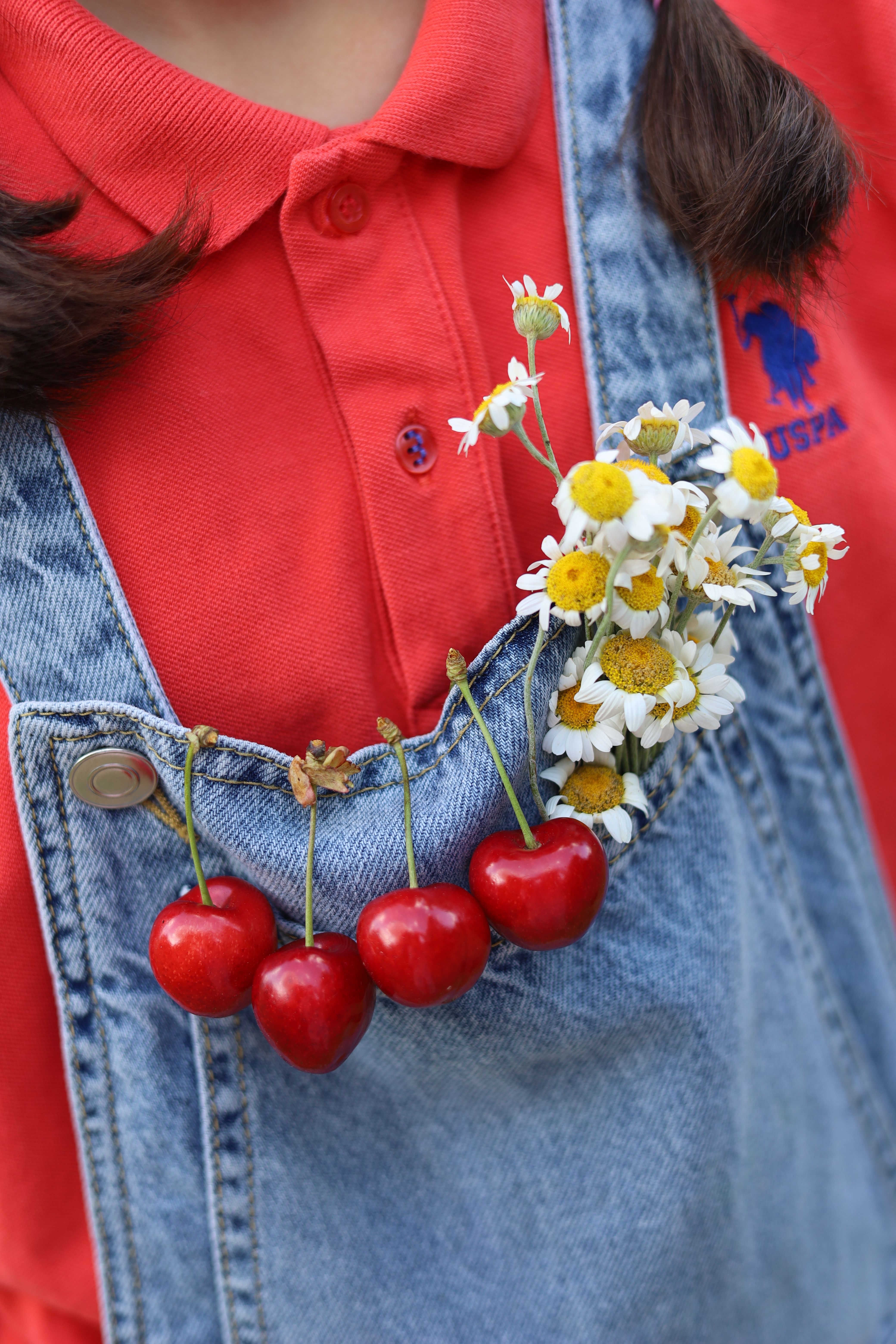 Cherries and Daisies in Denim Pocket