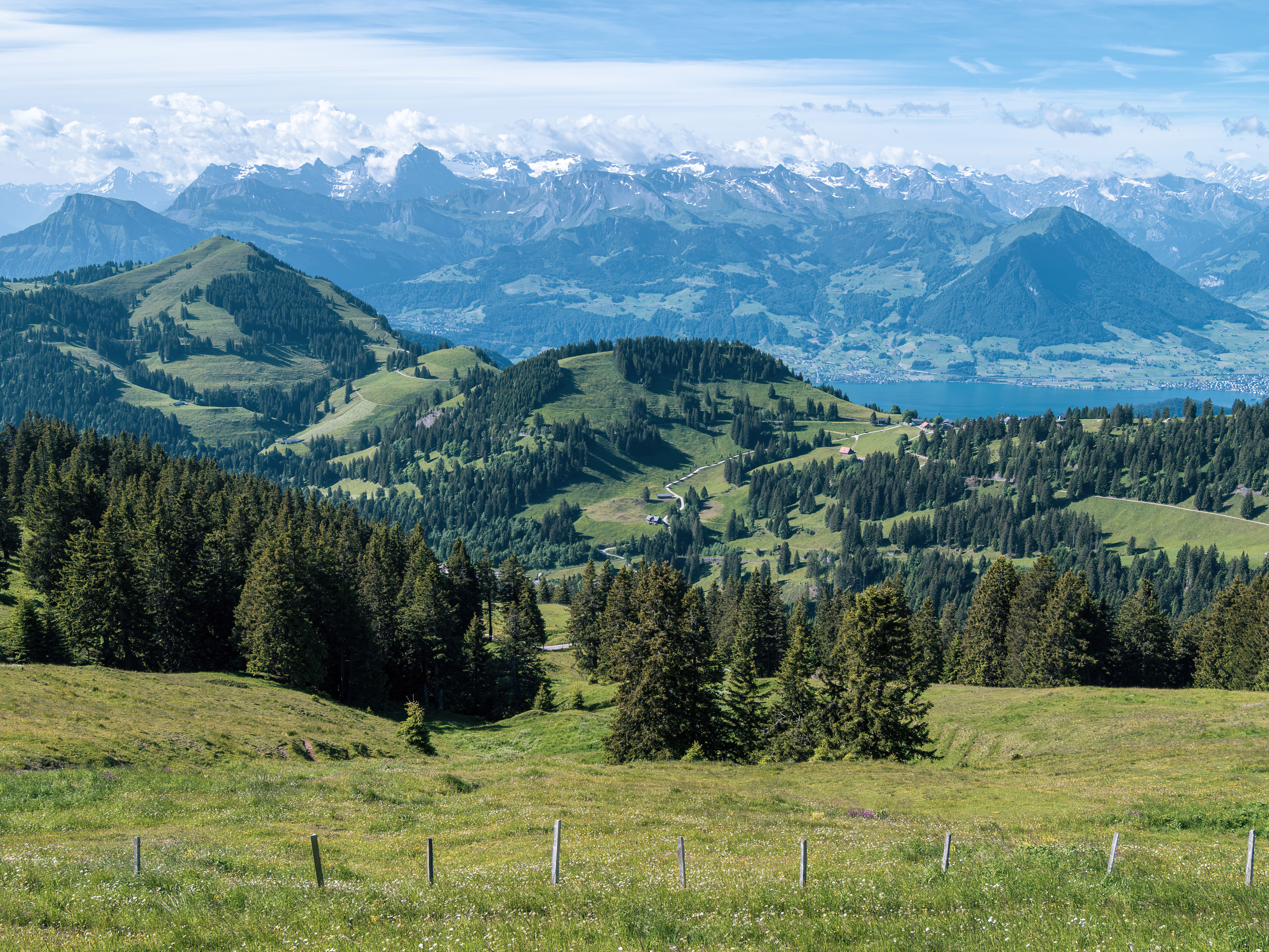 Breathtaking Mountain Landscape with Forest View · Free Stock Photo