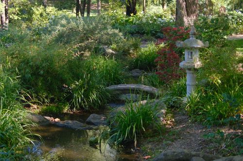 Free Peaceful Japanese garden scene featuring a stone lantern, lush greenery, and a tranquil stream. Stock Photo