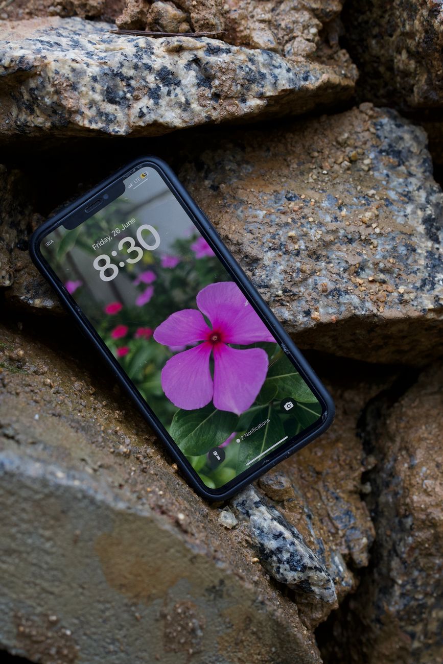 A smartphone shows a beautiful flower wallpaper against rugged rocks, blending technology with nature.