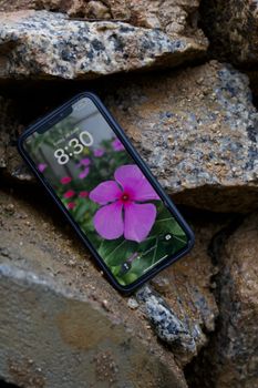 A smartphone shows a beautiful flower wallpaper against rugged rocks, blending technology with nature.
