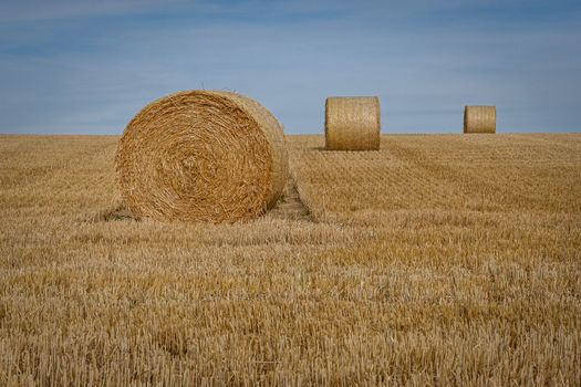 Scenic view of round hay bales on a harvested field under a clear blue sky.
