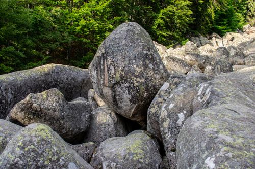 Free Stunning boulder formation in a forest setting, capturing nature's serene beauty. Stock Photo