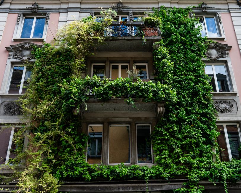 Gezellige zithoek met groene planten. Gezellige zithoek met groene planten.