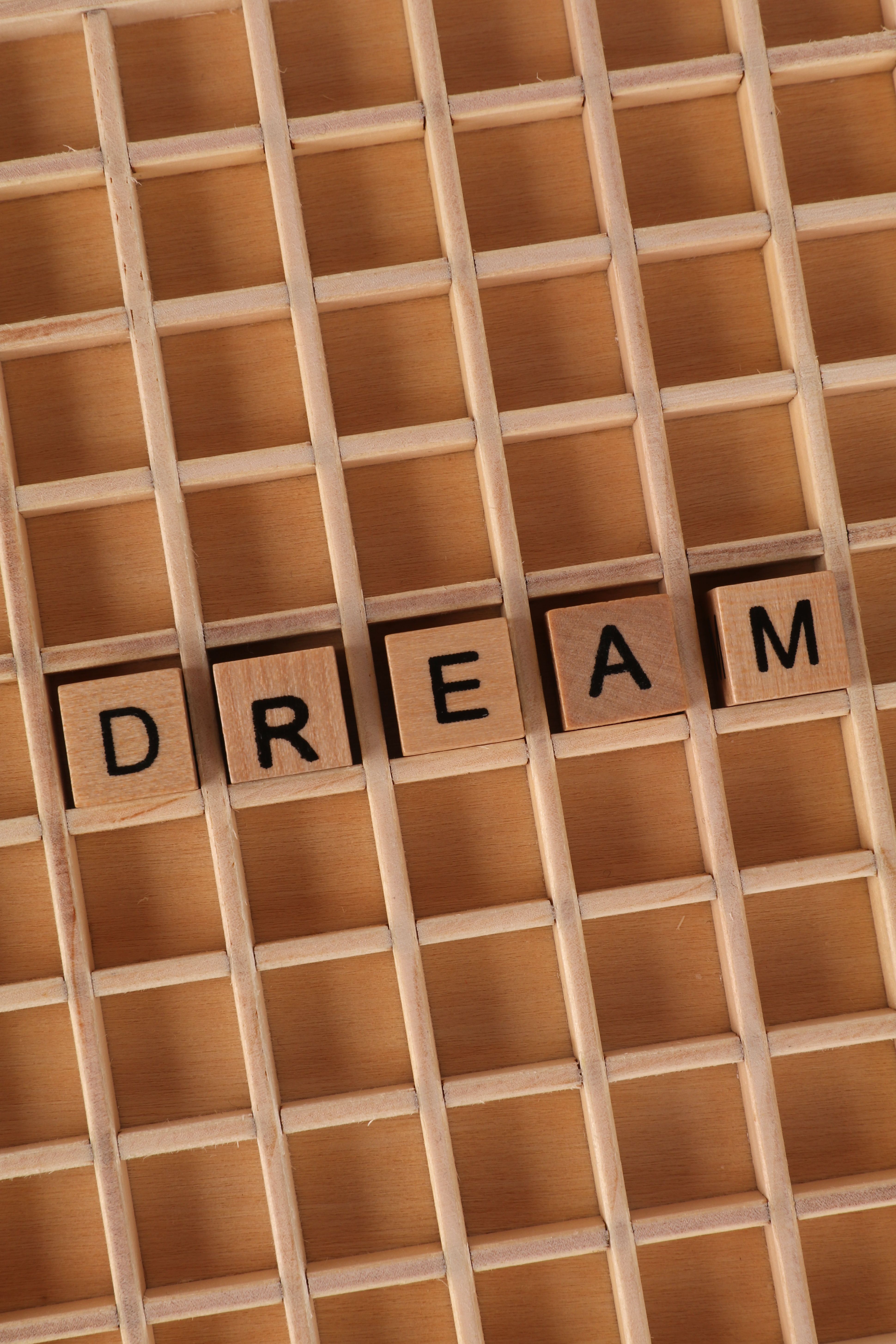 Dean Koontz - The Fall Of The Dream Machine (V2.0)