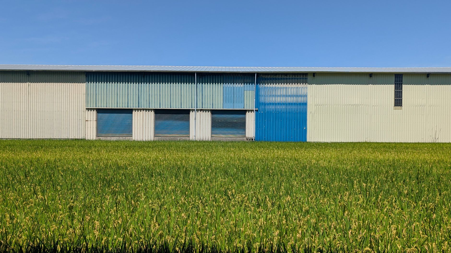 Structure de stockage et de traitement du riz en Alaotra