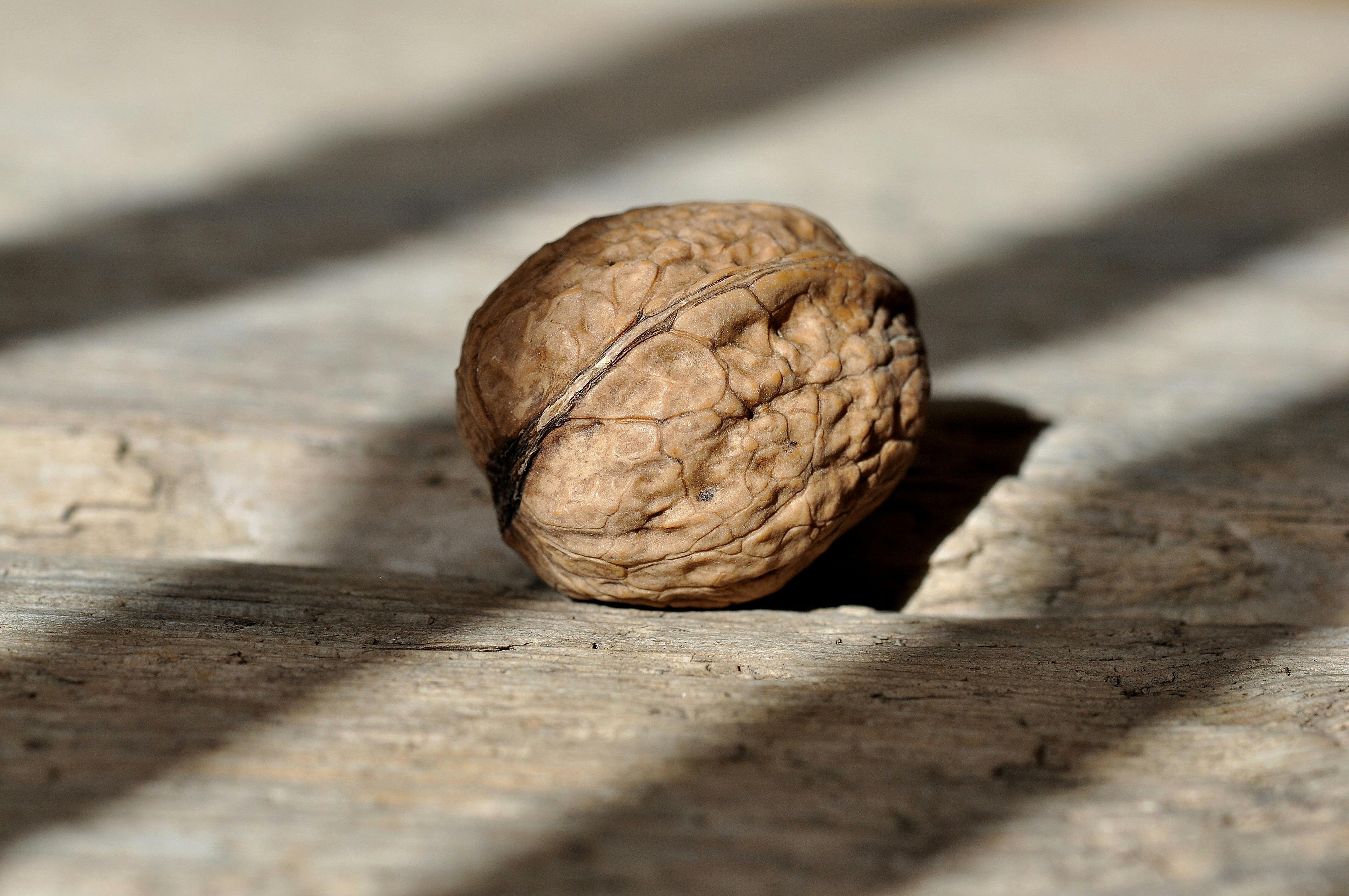 6+ Thousand Crushed Walnuts Royalty-Free Images, Stock Photos