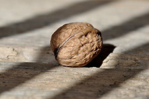Brown Round Fruit on Grey Wooden Panel
