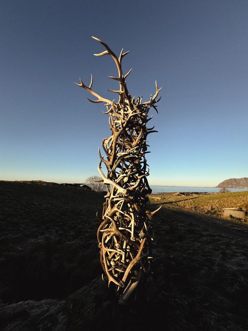 Free Tall sculpture made of intertwined antlers set against a serene Norwegian coastal backdrop. Stock Photo