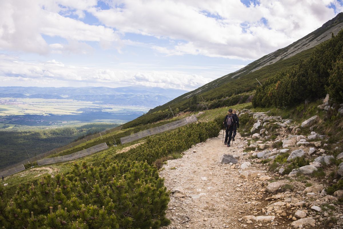 Doi drumeti pe o poteca de piatra, cu panorama spre campie