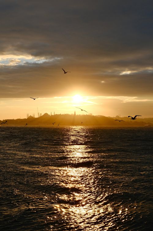 Free Captivating sunset over the Bosphorus in Istanbul with seagulls flying over the water, creating a serene scene. Stock Photo