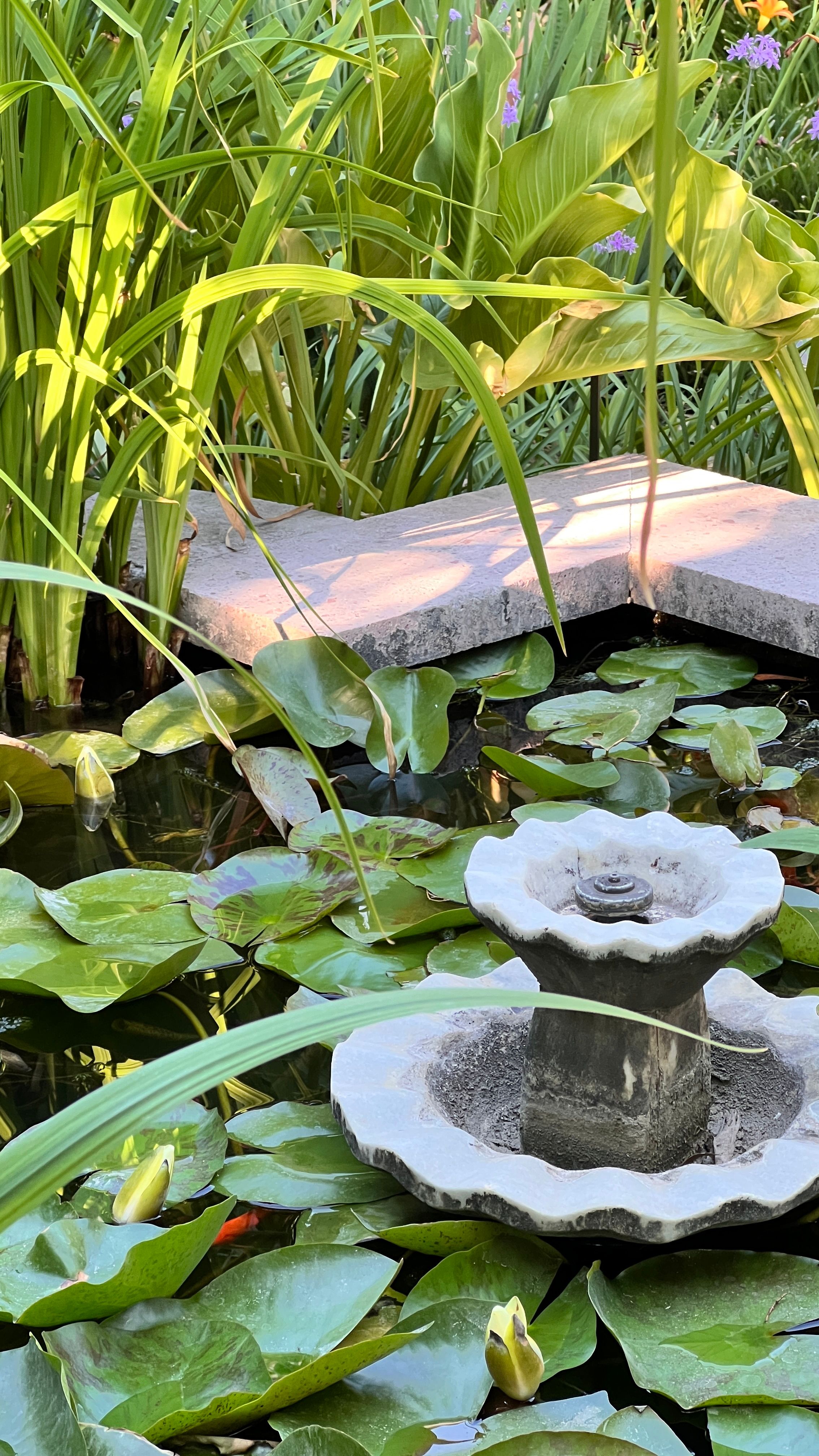 Serene outdoor garden pond with lily pads and central water fountain for relaxation.