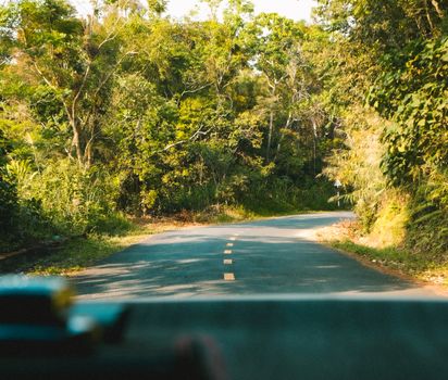 A scenic road curves through a lush green forest, capturing the essence of serene nature and exploration.