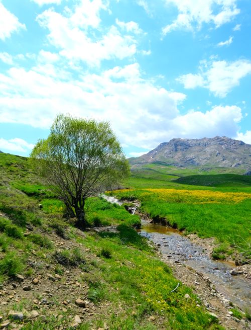 Free A tranquil stream flows through a vibrant green landscape with mountains in the background under a bright sky. Stock Photo