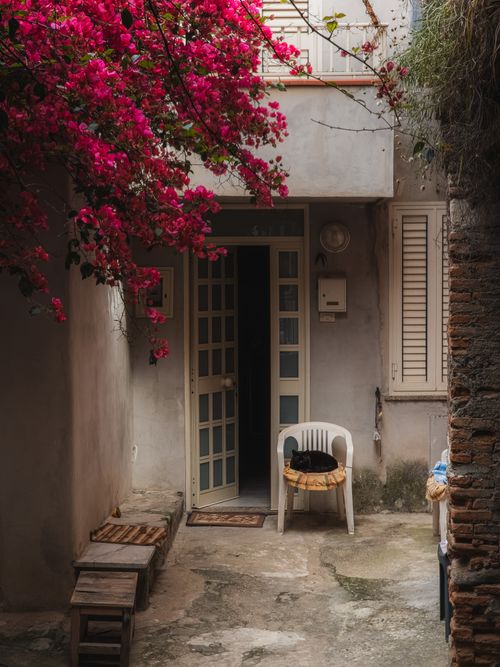Free Serene courtyard scene with vibrant bougainvillea, chair, and open door, exuding a tranquil atmosphere. Stock Photo