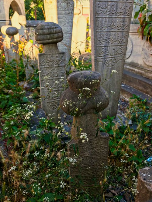Free Ancient Ottoman gravestones surrounded by wildflowers in a serene cemetery setting at sunset. Stock Photo