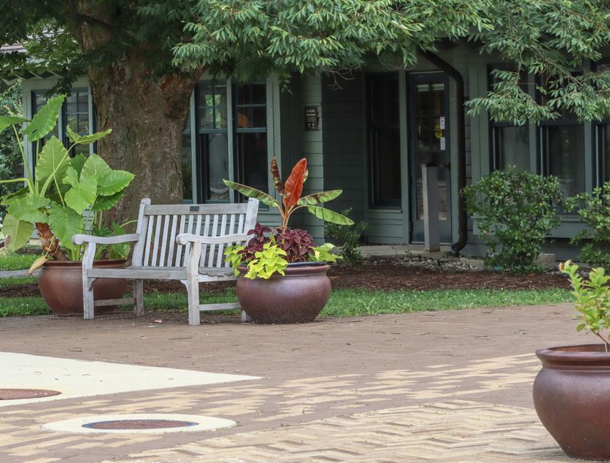residential plant design consultation austin