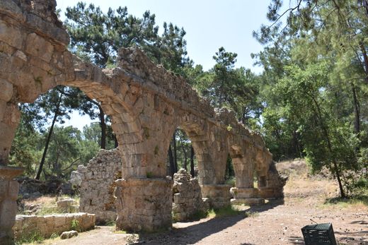 Stone arches of an ancient aqueduct in woodland — photo by Gokhan Erkaya on Pexels