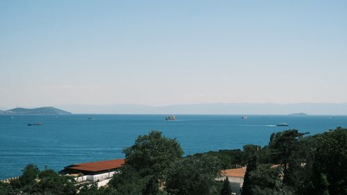 Free Tranquil seascape with ships on a sunny day and lush greenery in the foreground. Stock Photo