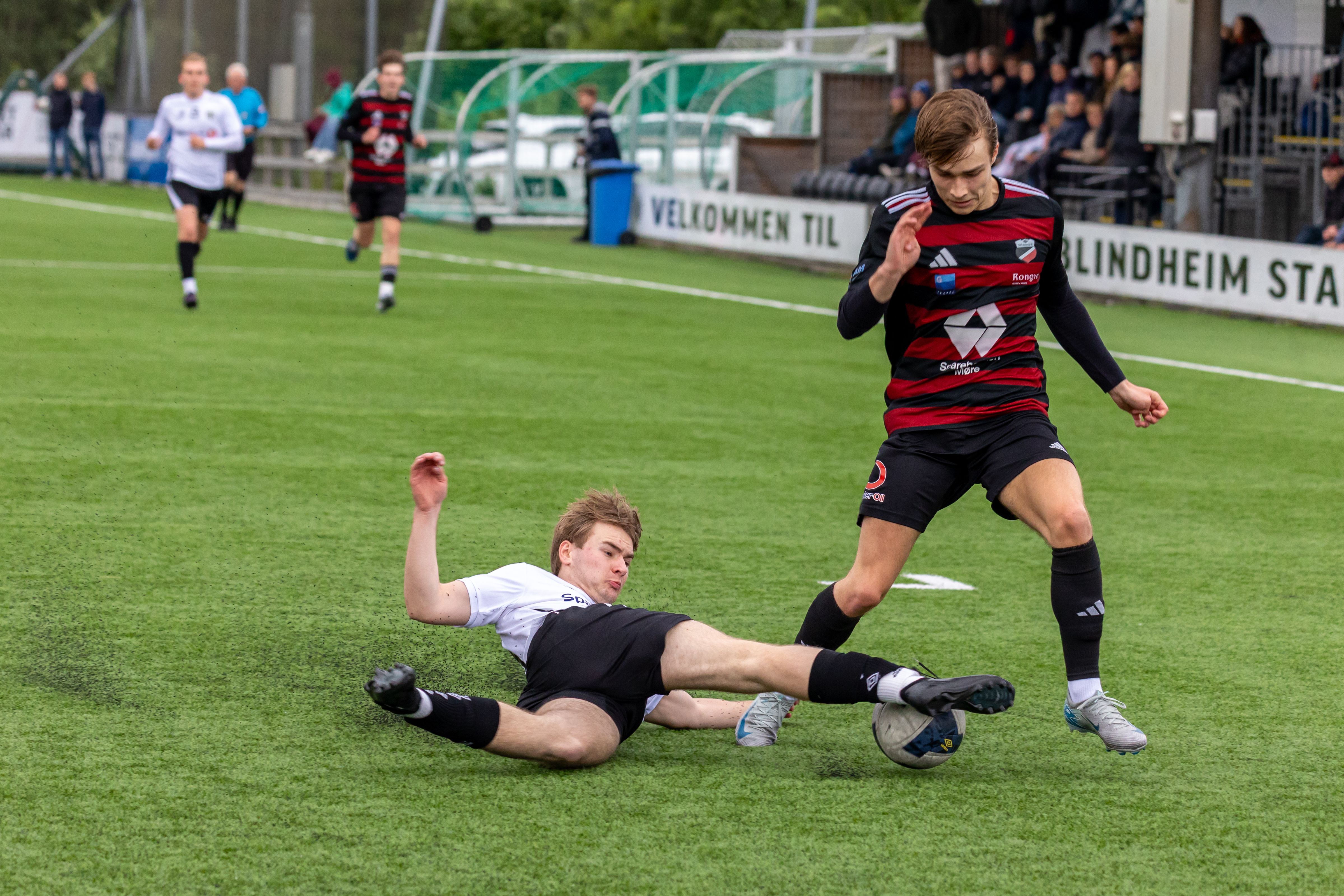 Foto: Andreas Berget / Pexels