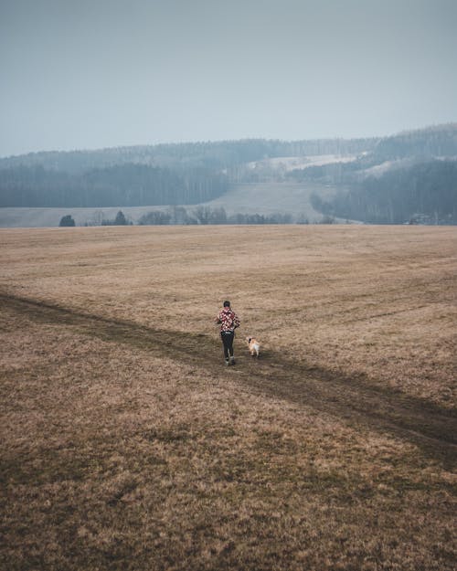 Free Person In The Middle Of Brown Field Stock Photo