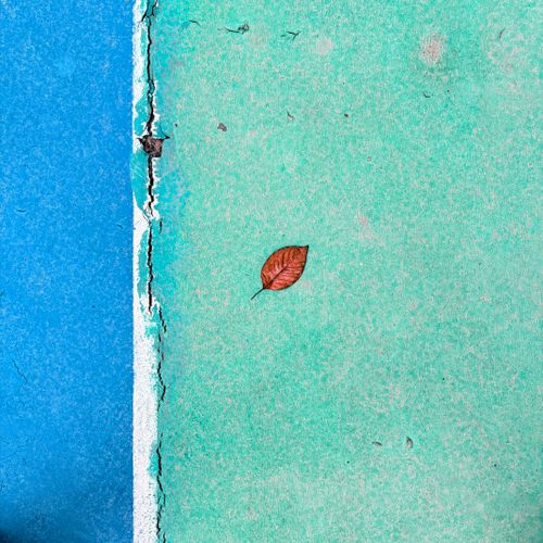 Free A single brown leaf rests on a cracked, colorful surface, merging art and nature. Stock Photo