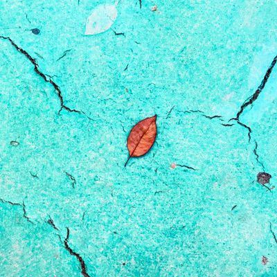 Dry leaf on cracked turquoise — photo by Aryan on Pexels