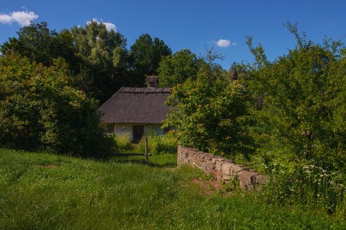 Free Traditional thatched roof cottage surrounded by lush greenery and stone wall in serene countryside. Stock Photo