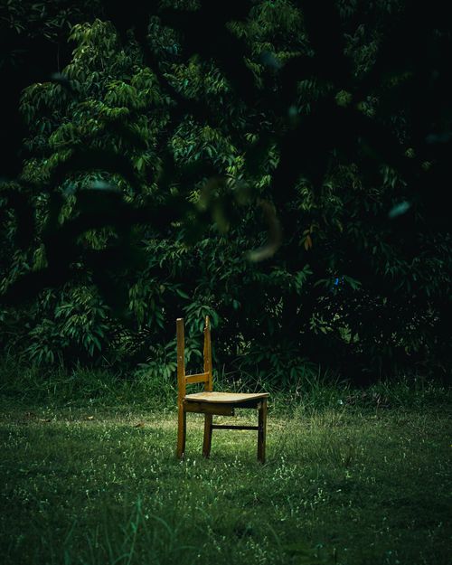 Free A single wooden chair stands alone amidst lush forest foliage, creating a serene, contemplative scene. Stock Photo