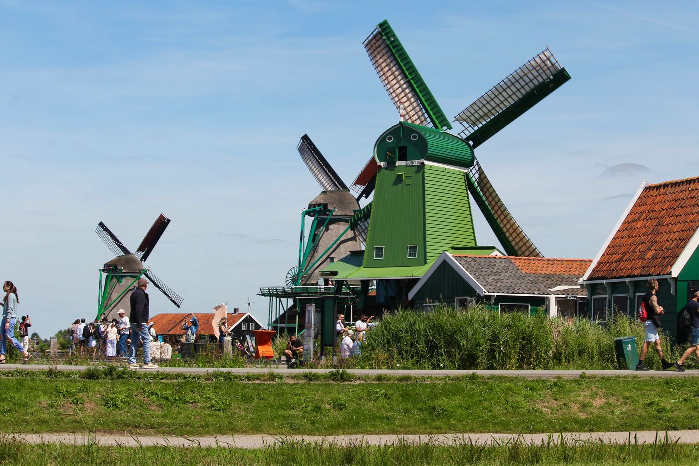 Zaandam