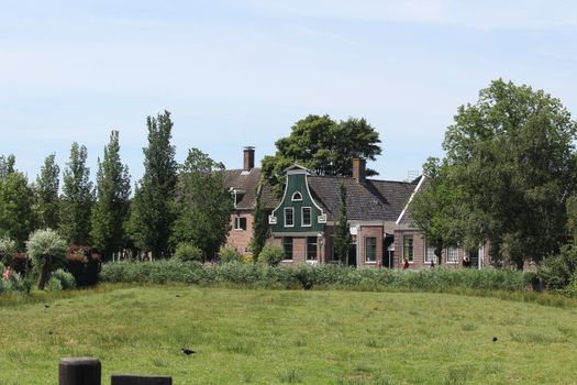 A picturesque view of traditional Dutch houses and greenery in Zaandam, Netherlands.