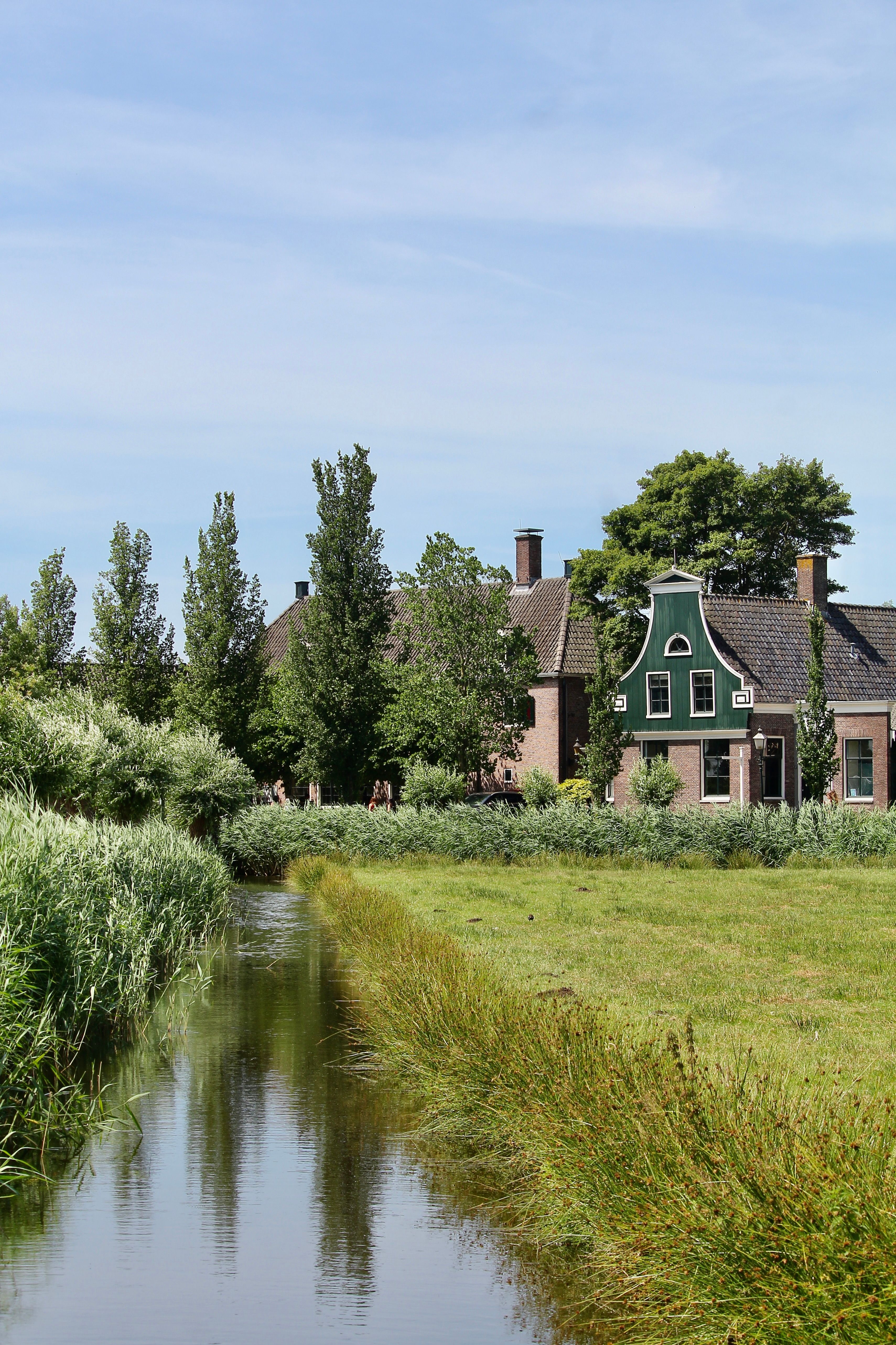 Scenic view of traditional houses and greenery in Zaandam, Netherlands, near a calm canal.