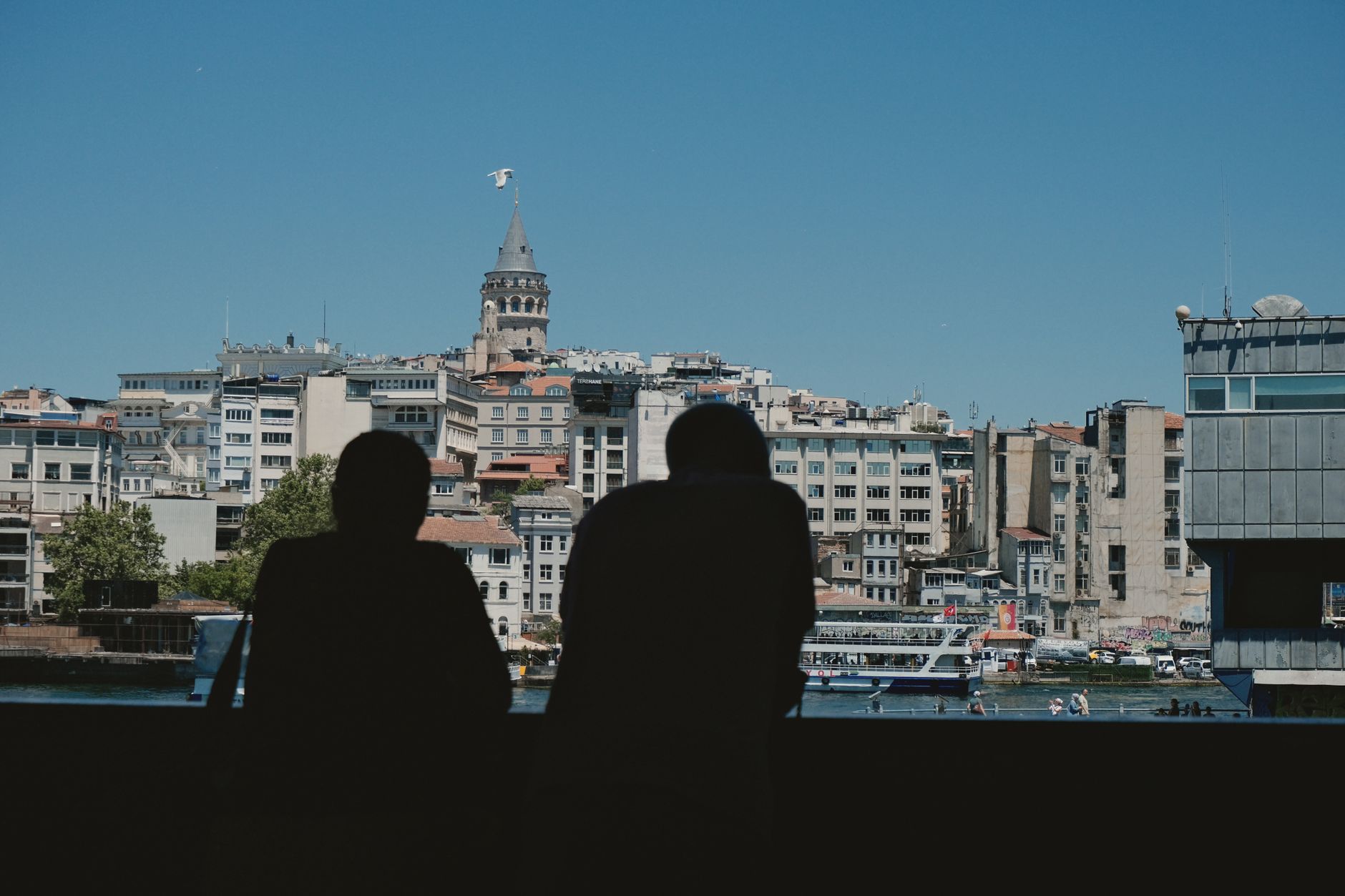 https://images.pexels.com/photos/38298154/pexels-photo-38298154.jpeg?auto=compress&cs=tinysrgb&dpr=2&h=650&w=940