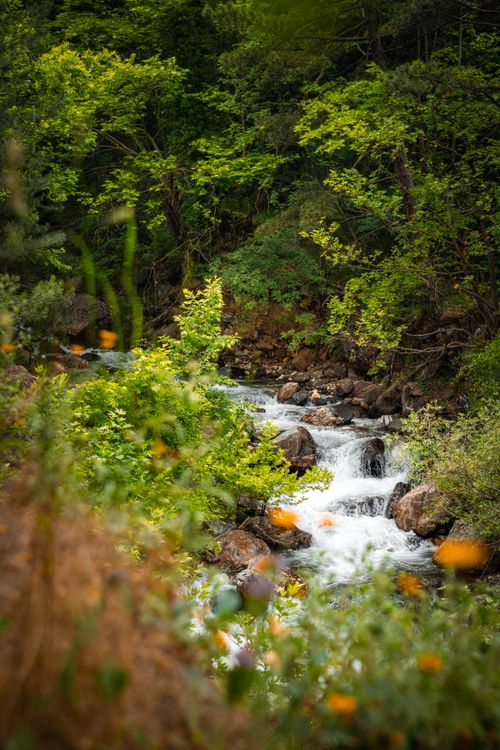 Free A tranquil waterfall cascading through lush greenery in Bursa, Türkiye, during spring. Stock Photo