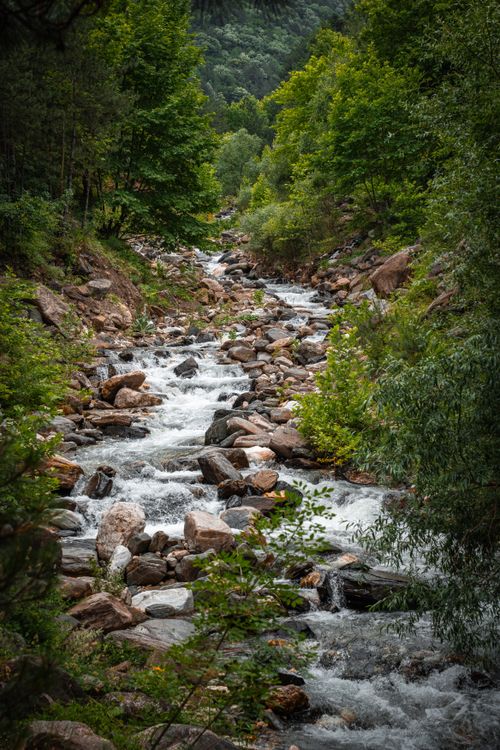 Free Tranquil stream flowing through lush green forest and rocky terrain in Bursa, Türkiye. Stock Photo