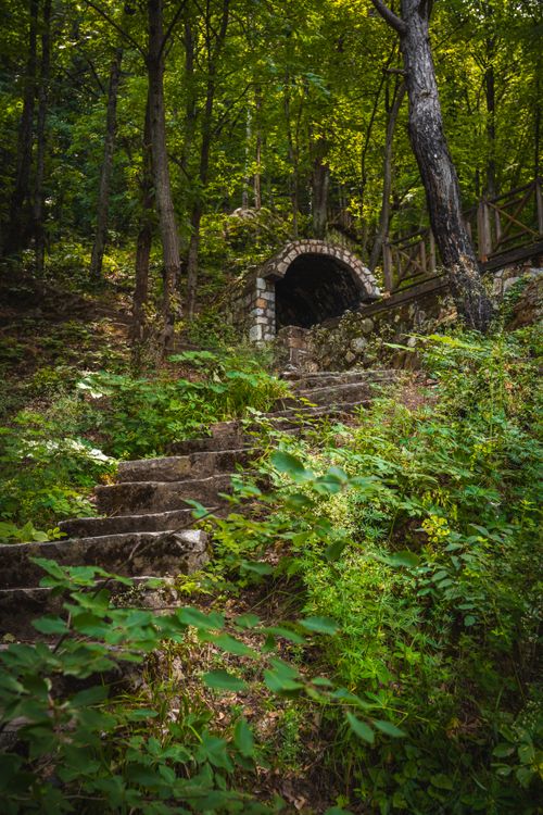 Free Discover ancient stone steps leading to a mysterious forest tunnel in Bursa, Türkiye. Stock Photo