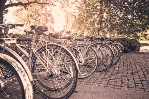 Photography of Bicycles Parked on Stone Floor