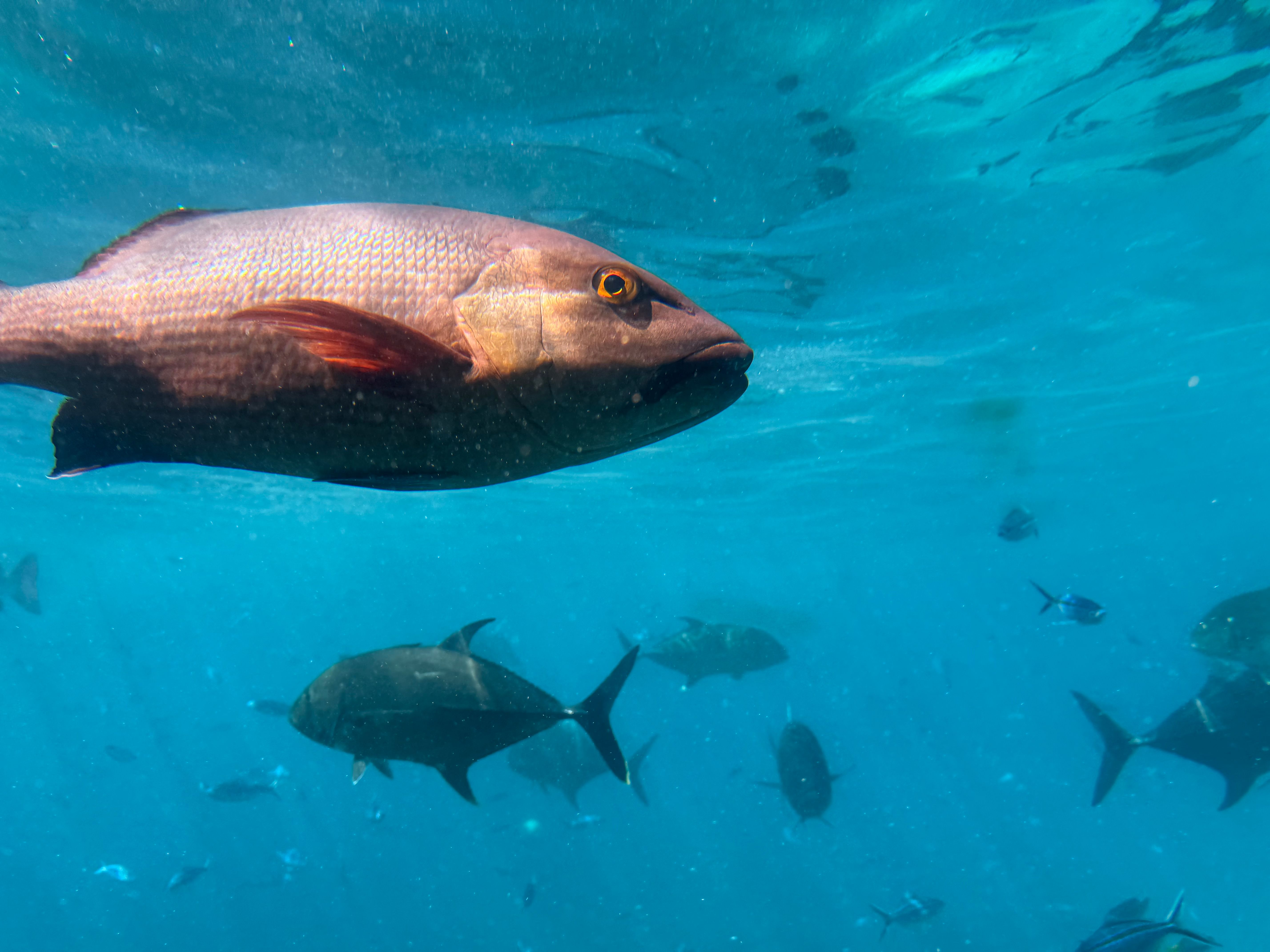 Best Time To Dive in St John — St John travel guide photo