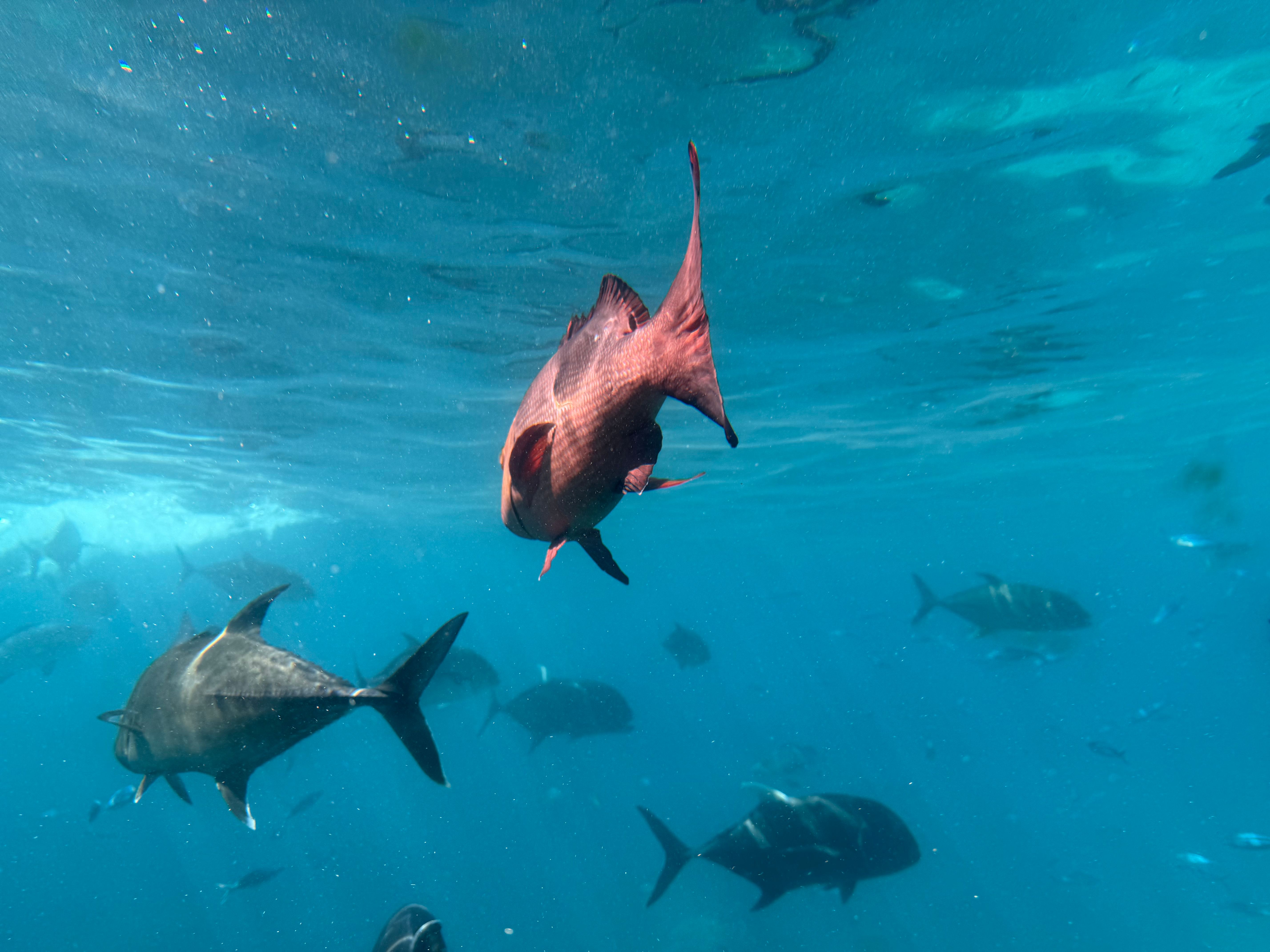 Landmarks in Great Exuma