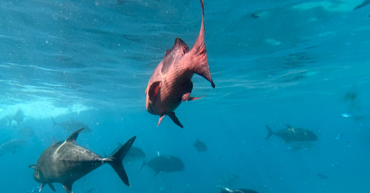St John Scuba Diving — Caribbean travel guide