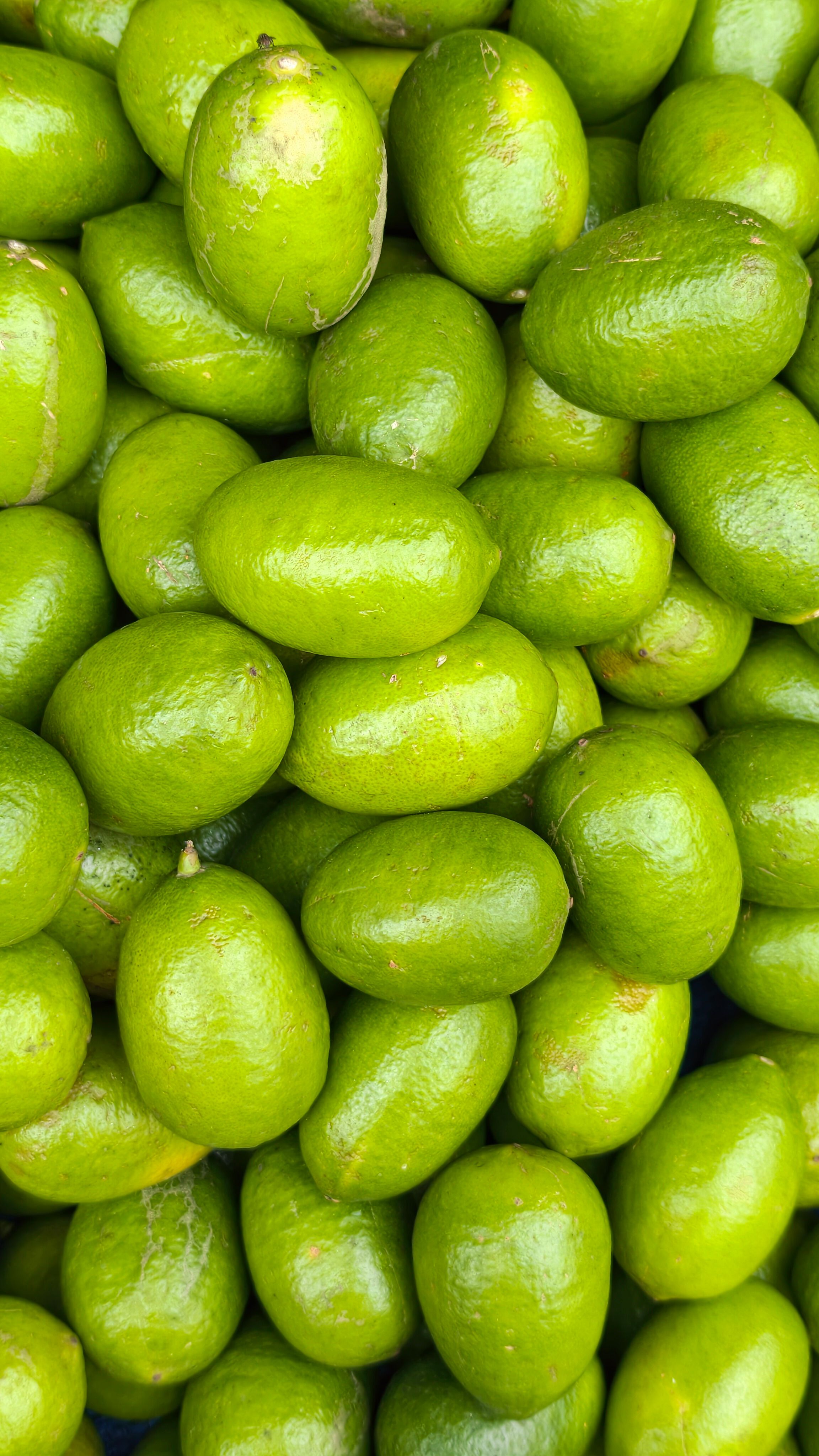 A vibrant close-up of fresh green mangoes piled together, showcasing their lush texture and natural color.