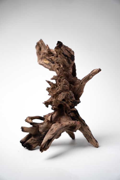 Free A sophisticated piece of driftwood with unique curves set against a clean white background. Stock Photo